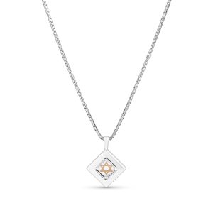 שרשרת המורשת עם שבב תנ”ך – מסורת דרך טכנולוגיה