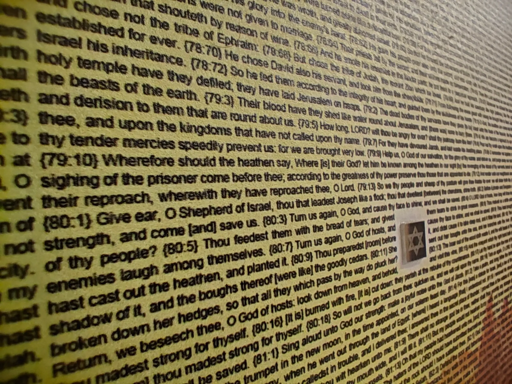 יְרוּשָׁלַיִם שֶׁל זָהָב - אהבה, אמונה ואור נצח – תמונה 4