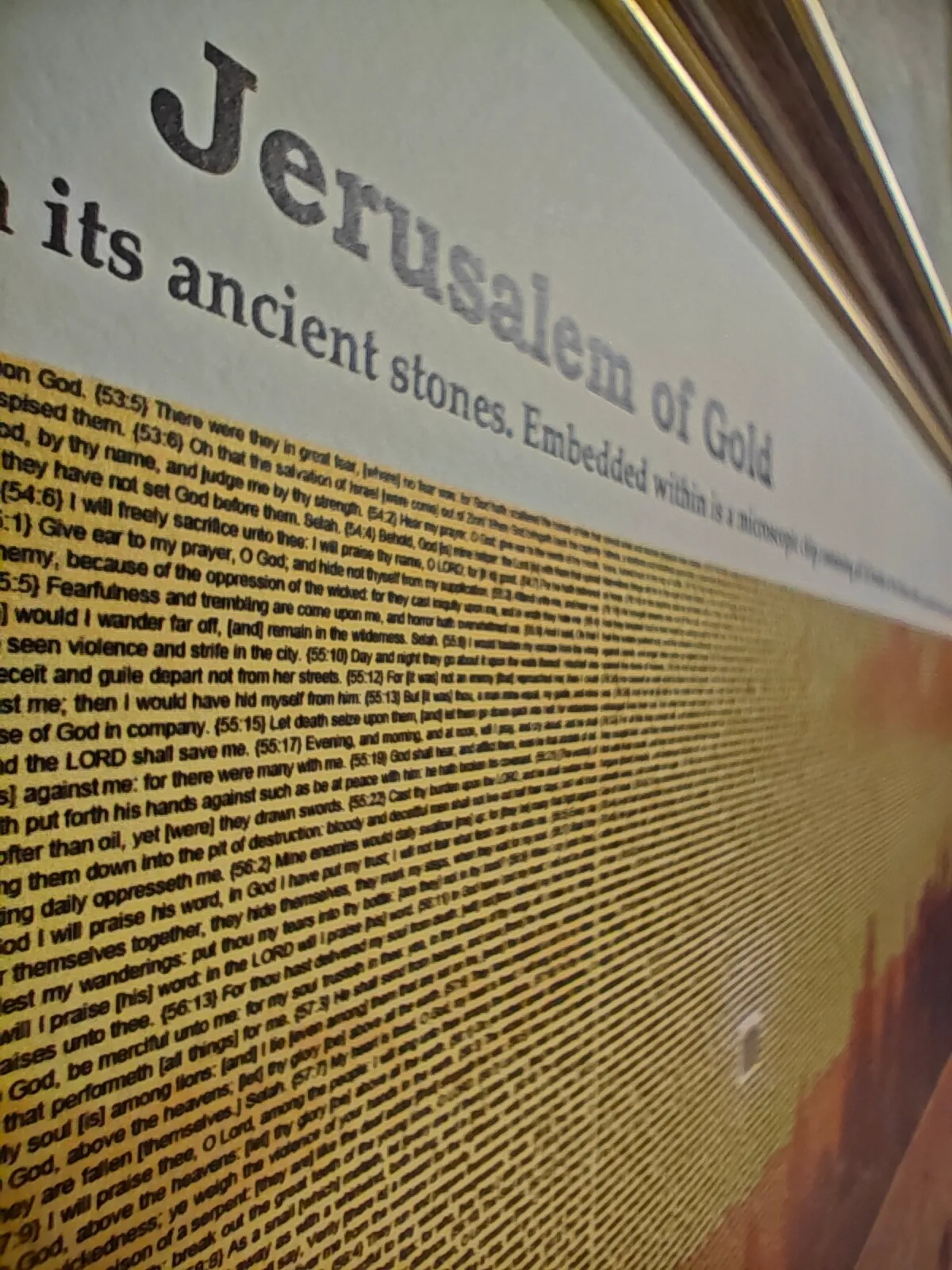 יְרוּשָׁלַיִם שֶׁל זָהָב - אהבה, אמונה ואור נצח – תמונה 5